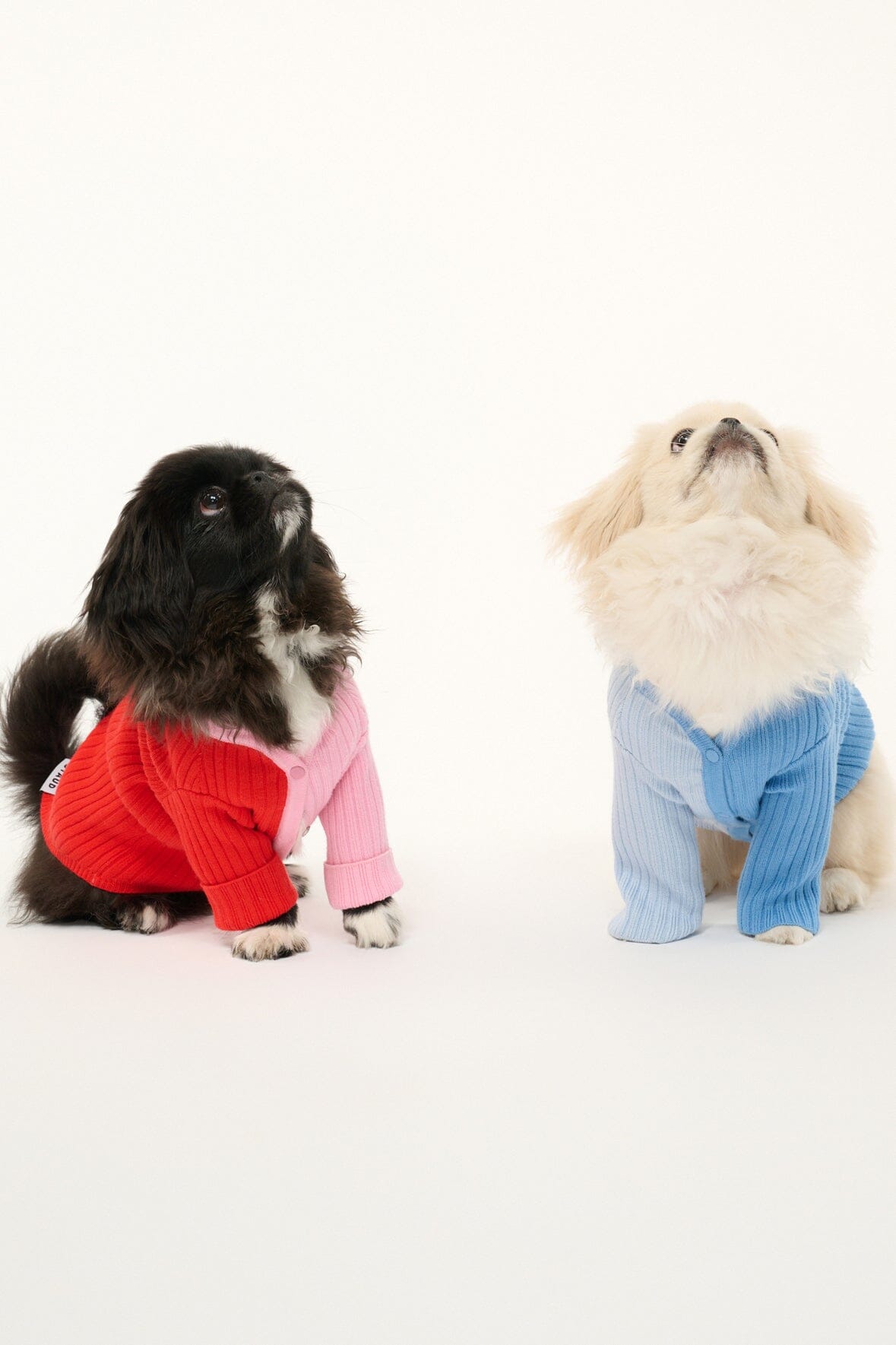 PET SHOKO SWEATER | PERIWINKLE MULTI - Image 6