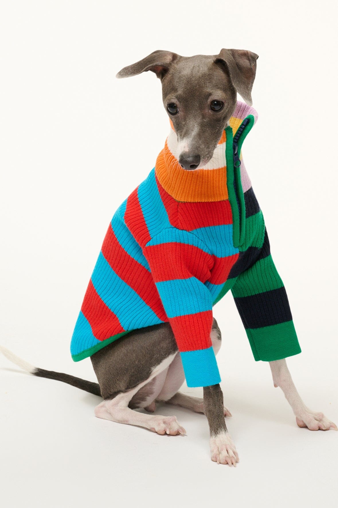 PET HAMPTON SWEATER | CABANA STRIPE MULTI - Image 3