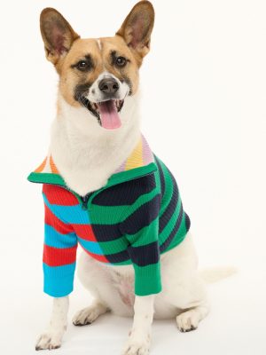 PET HAMPTON SWEATER | CABANA STRIPE MULTI