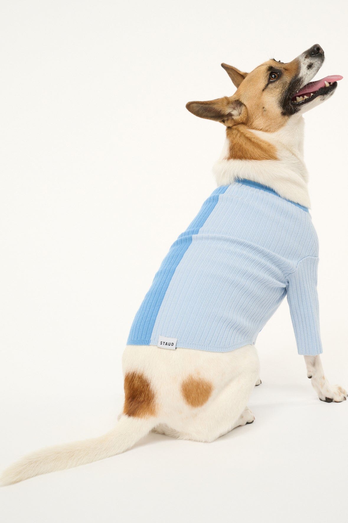 PET SHOKO SWEATER | PERIWINKLE MULTI - Image 3