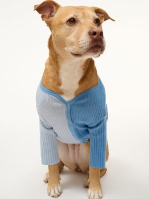 PET SHOKO SWEATER | PERIWINKLE MULTI