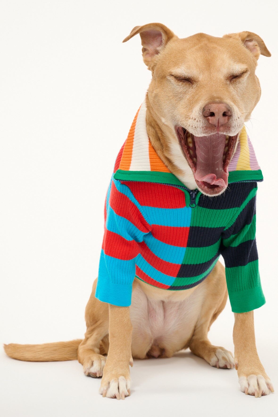 PET HAMPTON SWEATER | CABANA STRIPE MULTI - Image 4