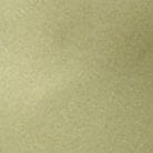 TRINITY SILK DRESS | MOSS - Image 6