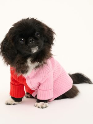 PET SHOKO SWEATER | POPPY ROSEBUD