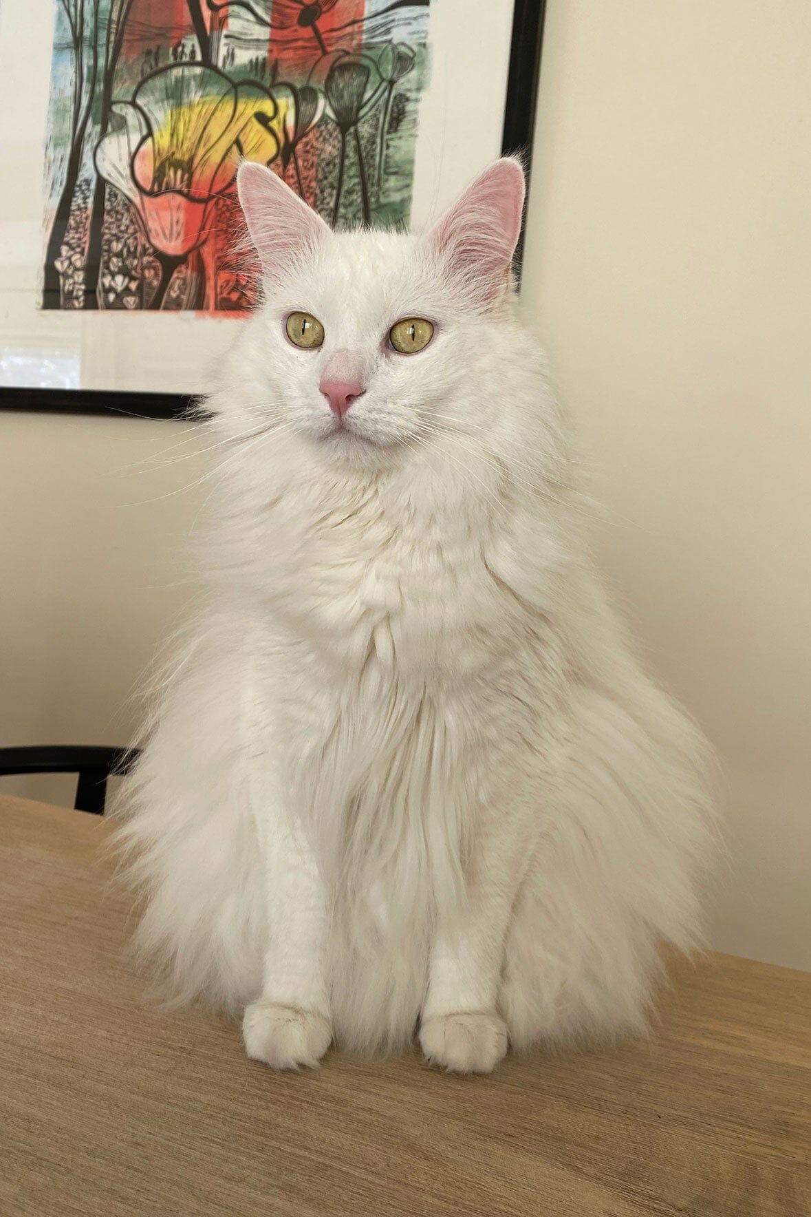 CUSTOM SHIRLEY LEATHER BAG | BLACK - Image 4