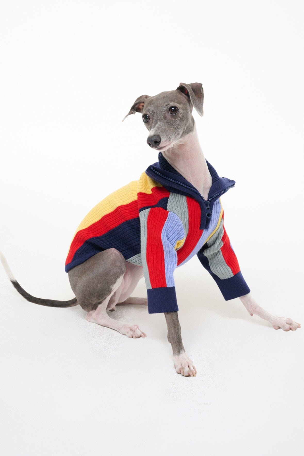 PET HAMPTON SWEATER | MARKET STRIPE