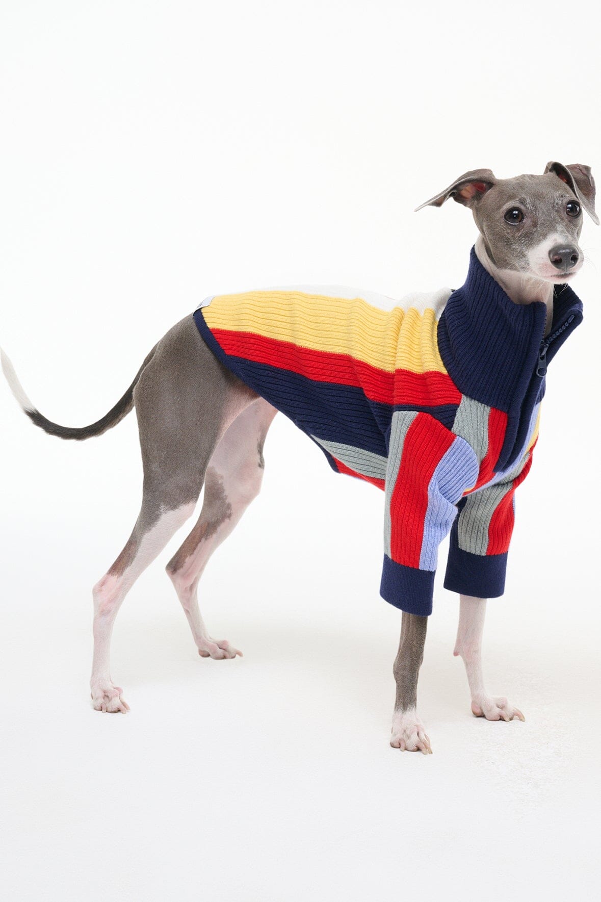PET HAMPTON SWEATER | MARKET STRIPE - Image 6
