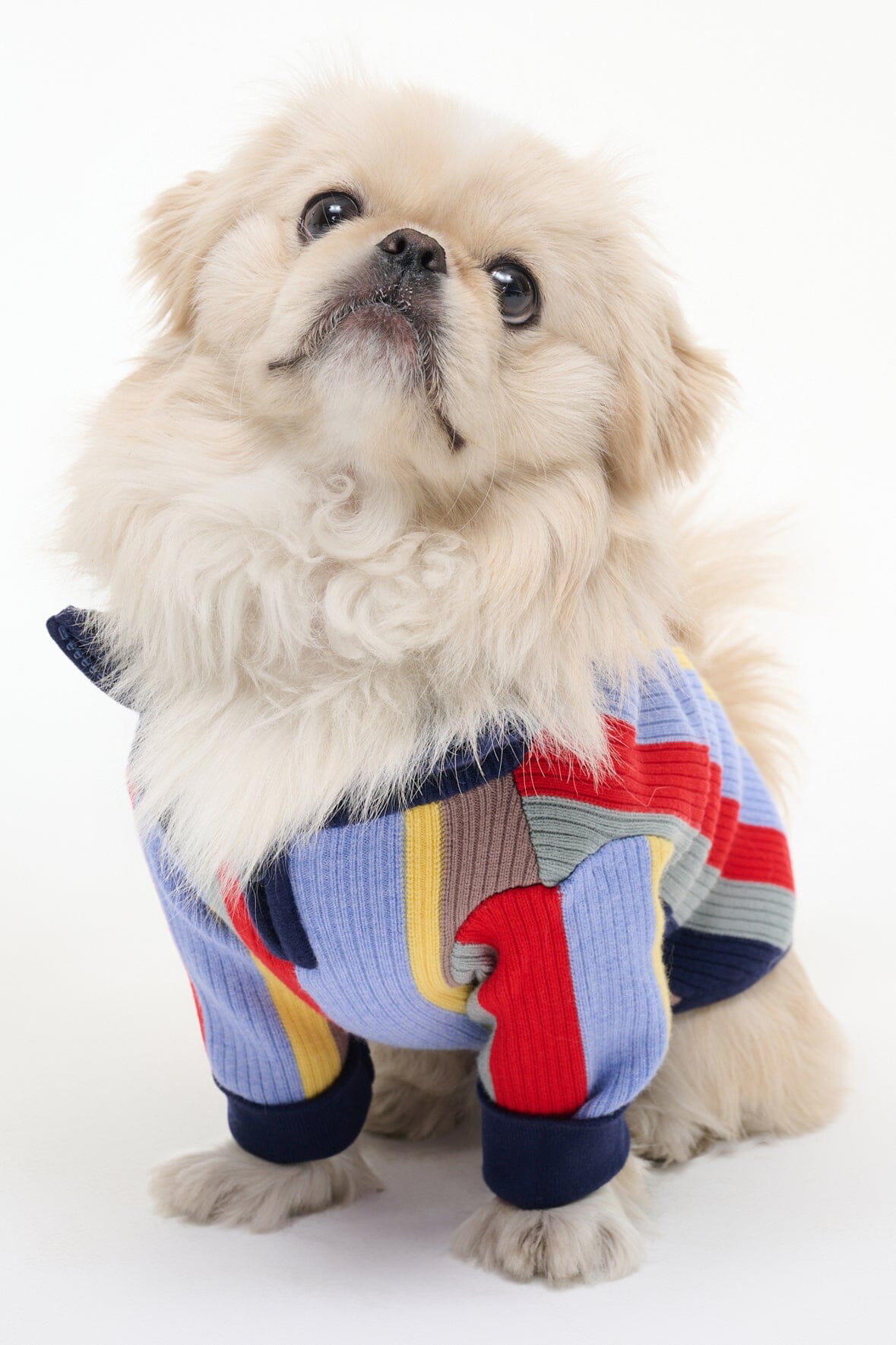 PET HAMPTON SWEATER | MARKET STRIPE - Image 3