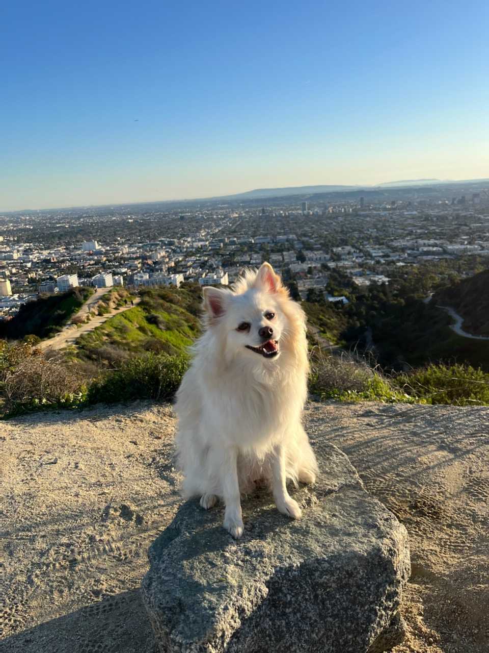 CUSTOM MINI SHIRLEY LEATHER BAG | BLACK - Image 8