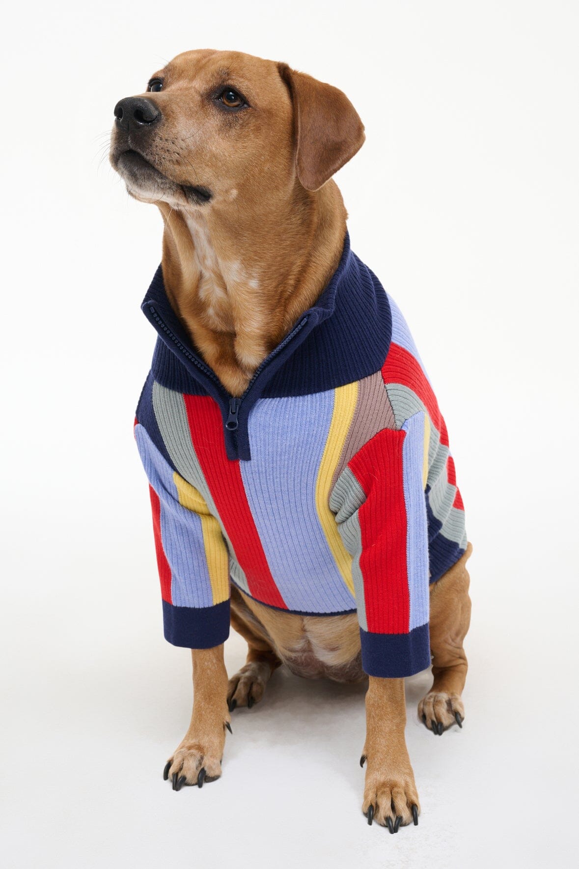 PET HAMPTON SWEATER | MARKET STRIPE - Image 5