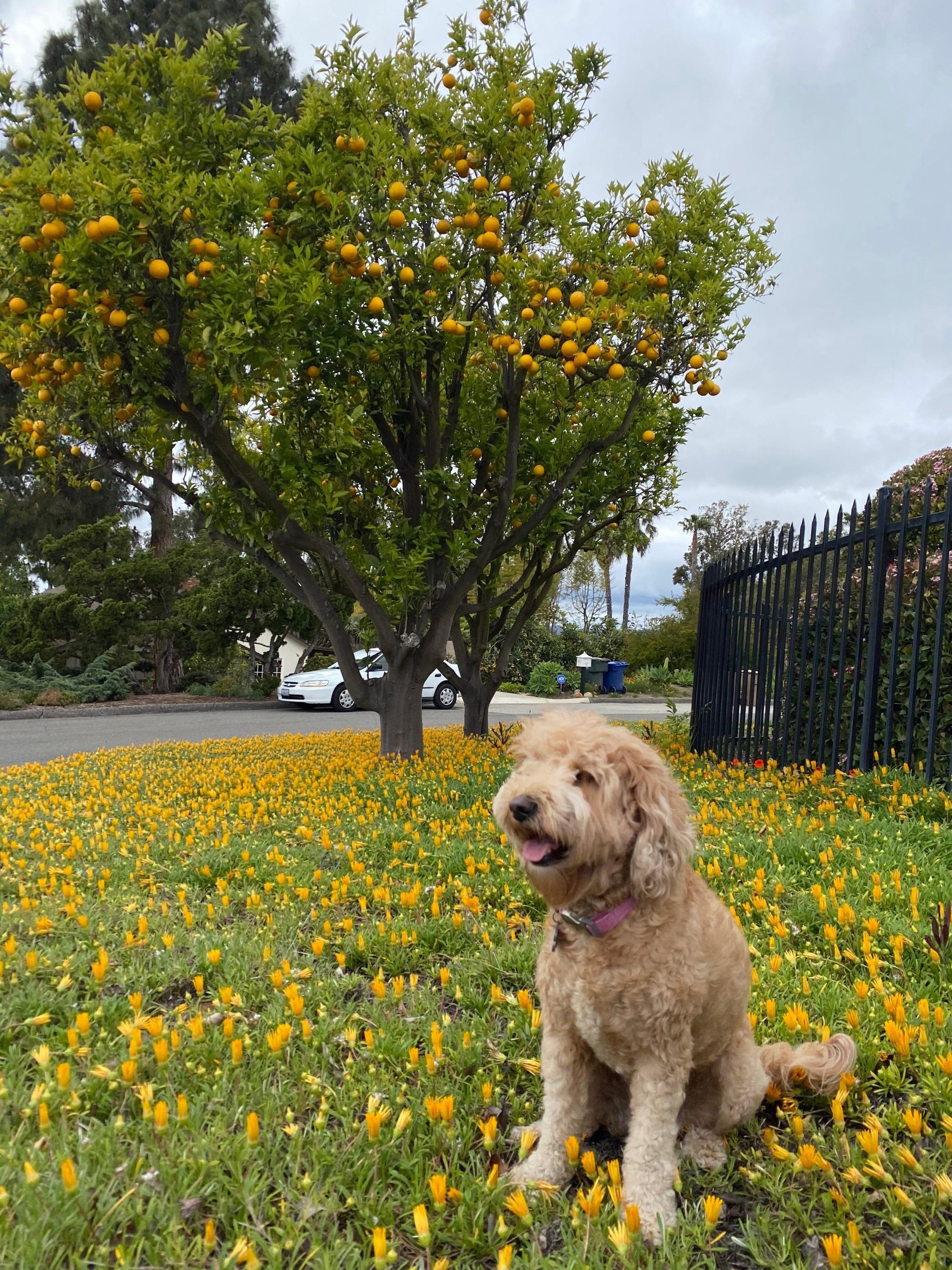 CUSTOM MINI SHIRLEY LEATHER BAG | CREAM - Image 7