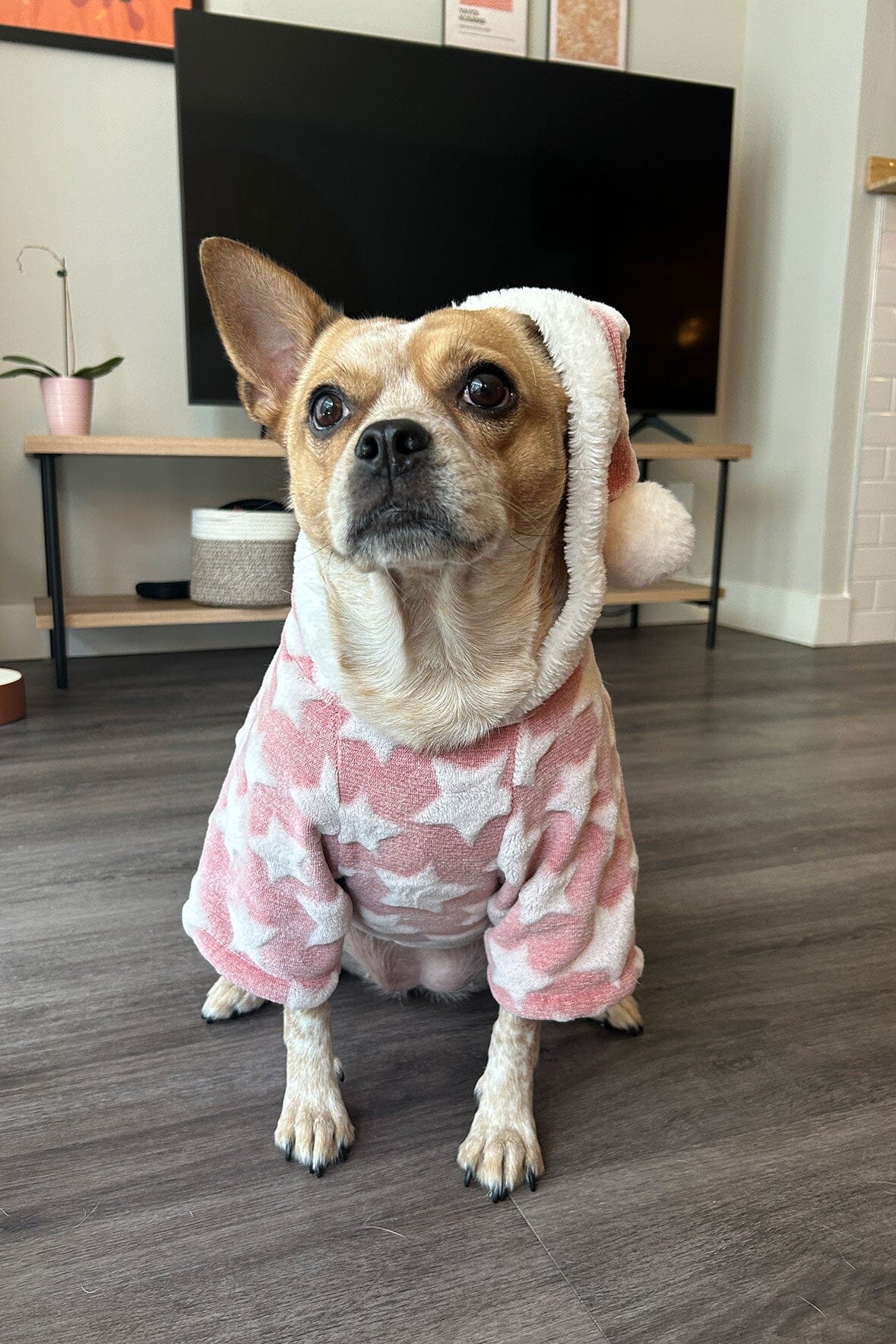 CUSTOM SHIRLEY LEATHER BAG | BLUSH - Image 7