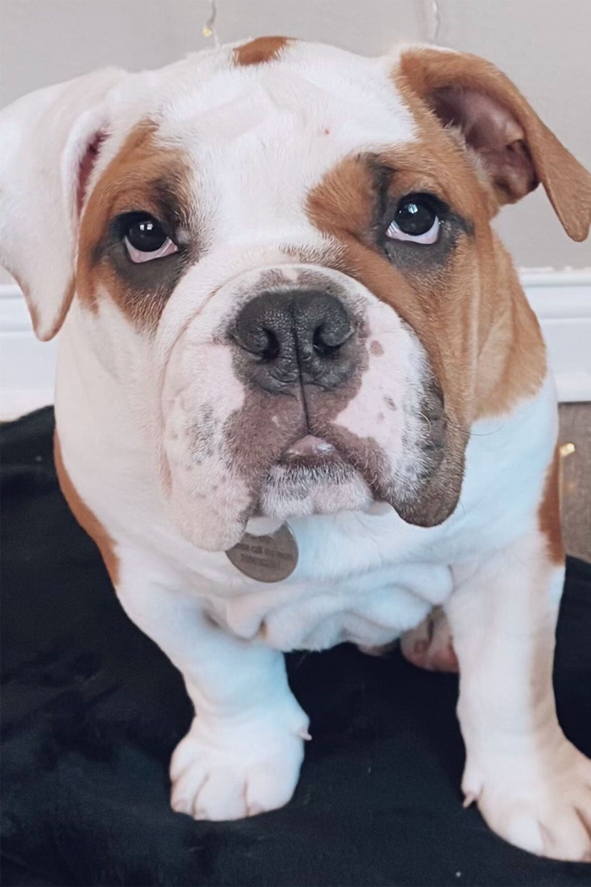 CUSTOM KAIA BAG | CREAM - Image 9