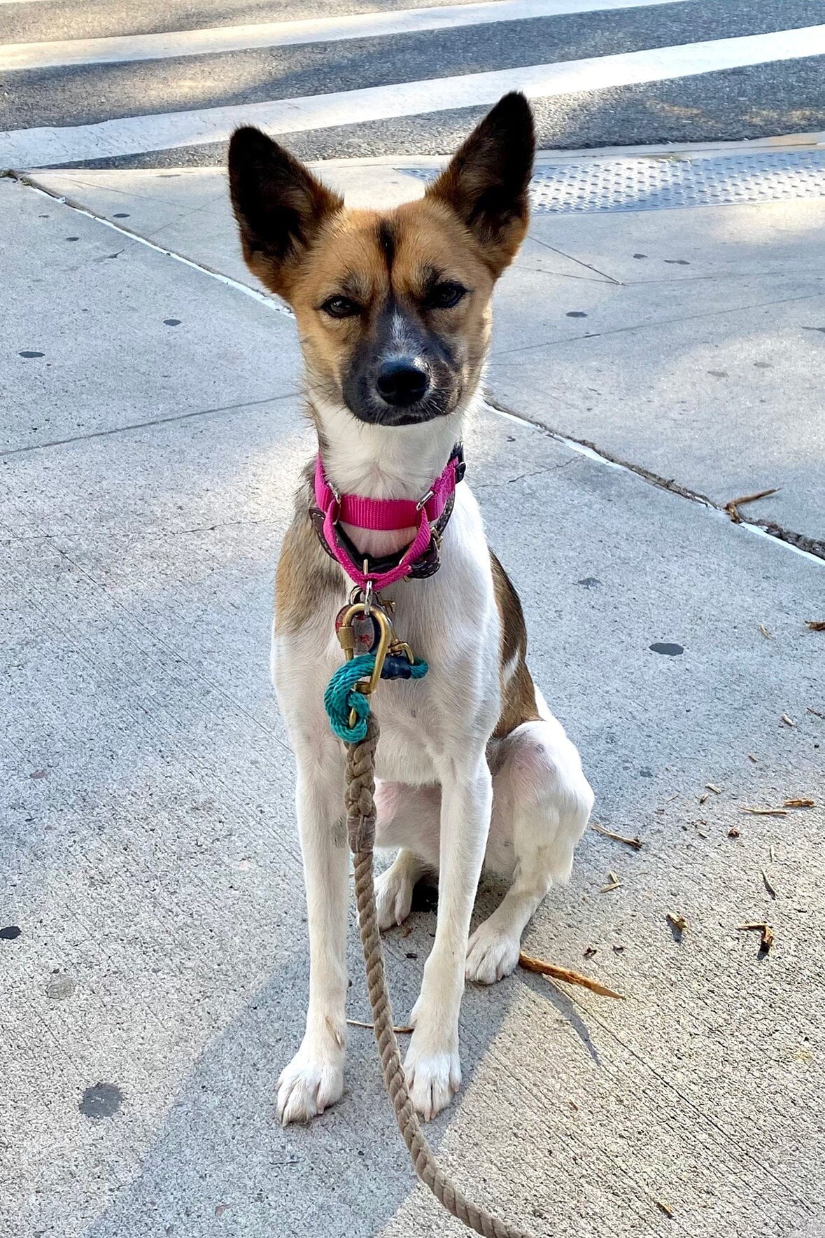 CUSTOM MOON BAG | CREAM - Image 6