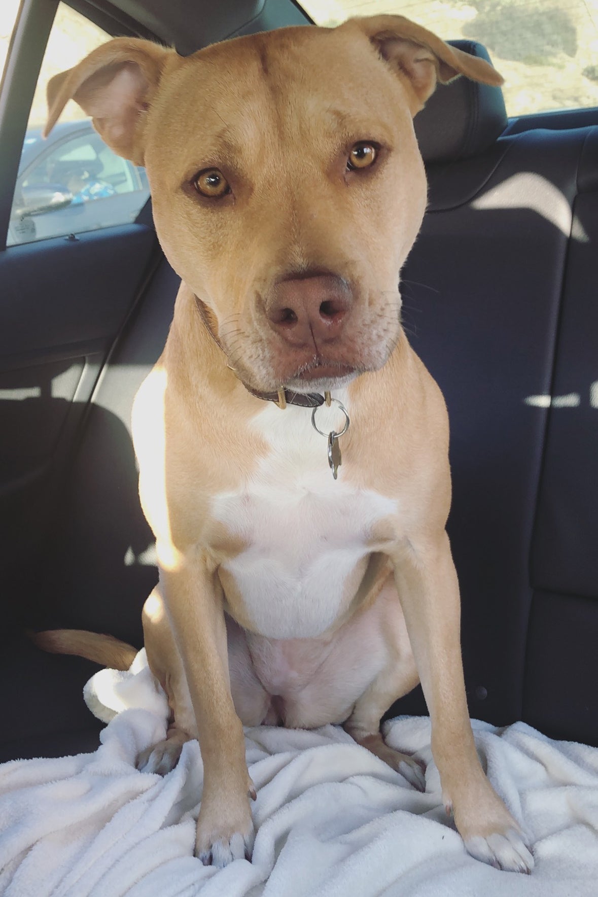 CUSTOM KAIA BAG | BLACK - Image 8