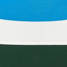 CARILO DRESS | JUNGLE SKY IVORY - Image 7