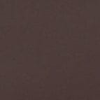 SISLEY SIDE TIE BIKINI BOTTOM | DARK CHOCOLATE - Image 6