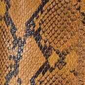 WESTERN WALLY BOOT | SNAKE - Image 9