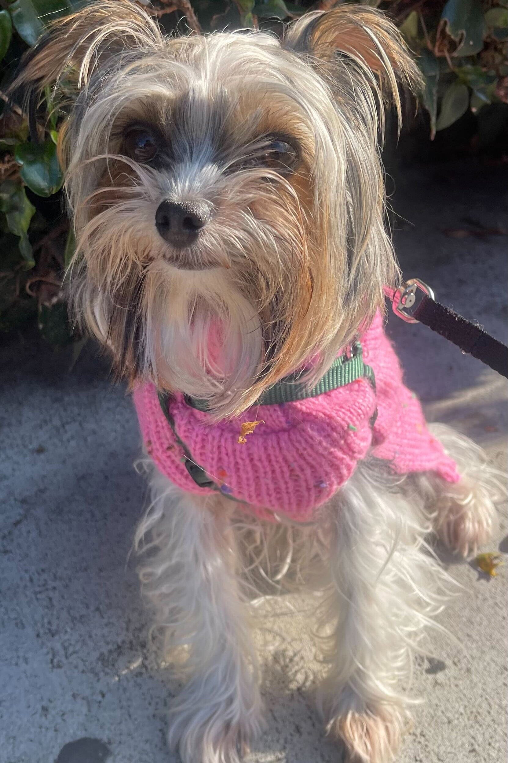 CUSTOM MINI MOON BAG | BLACK - Image 5