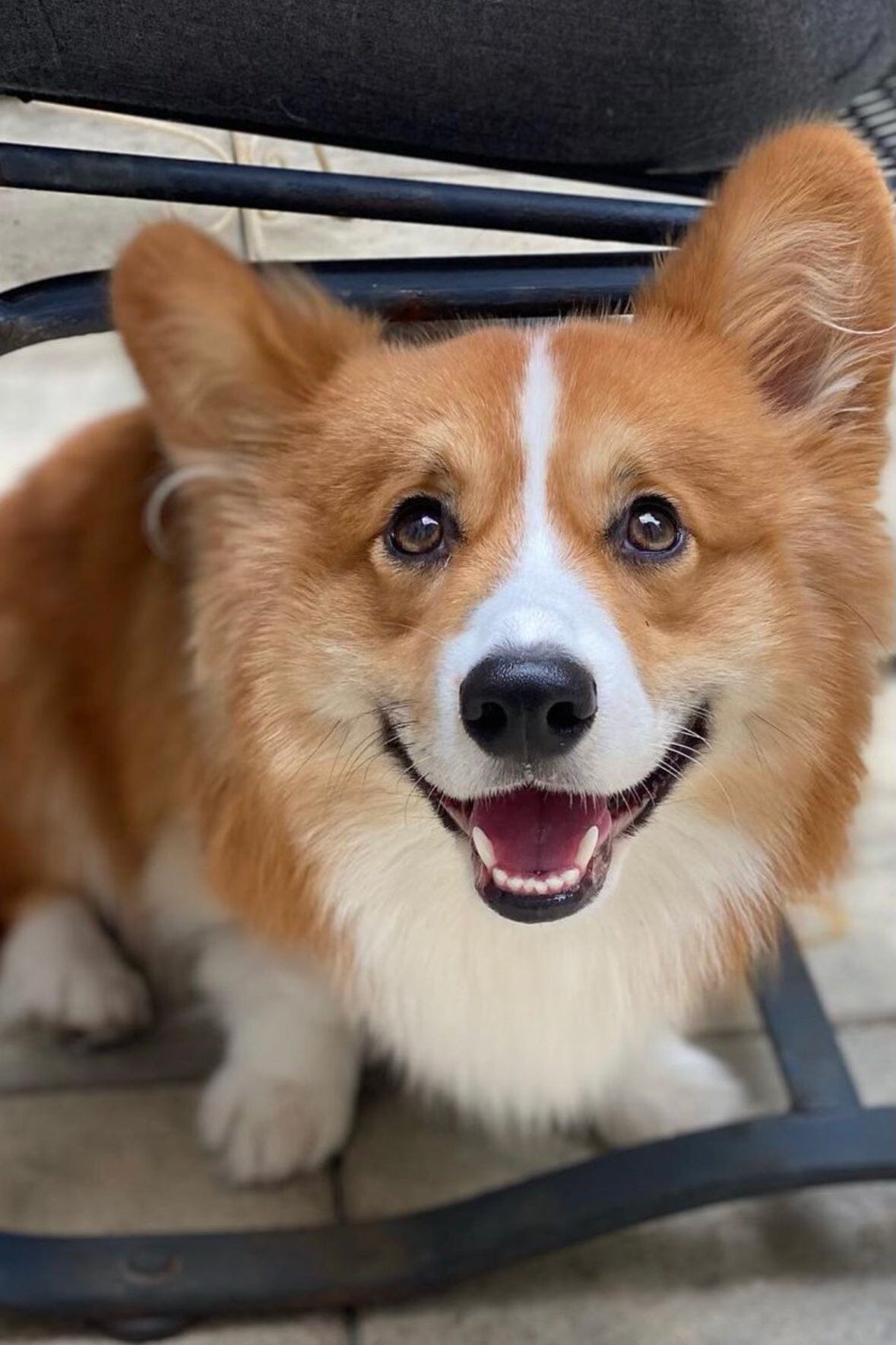 CUSTOM STAUD x C.BONZ CASHMERE BLANKET | GREY - Image 6