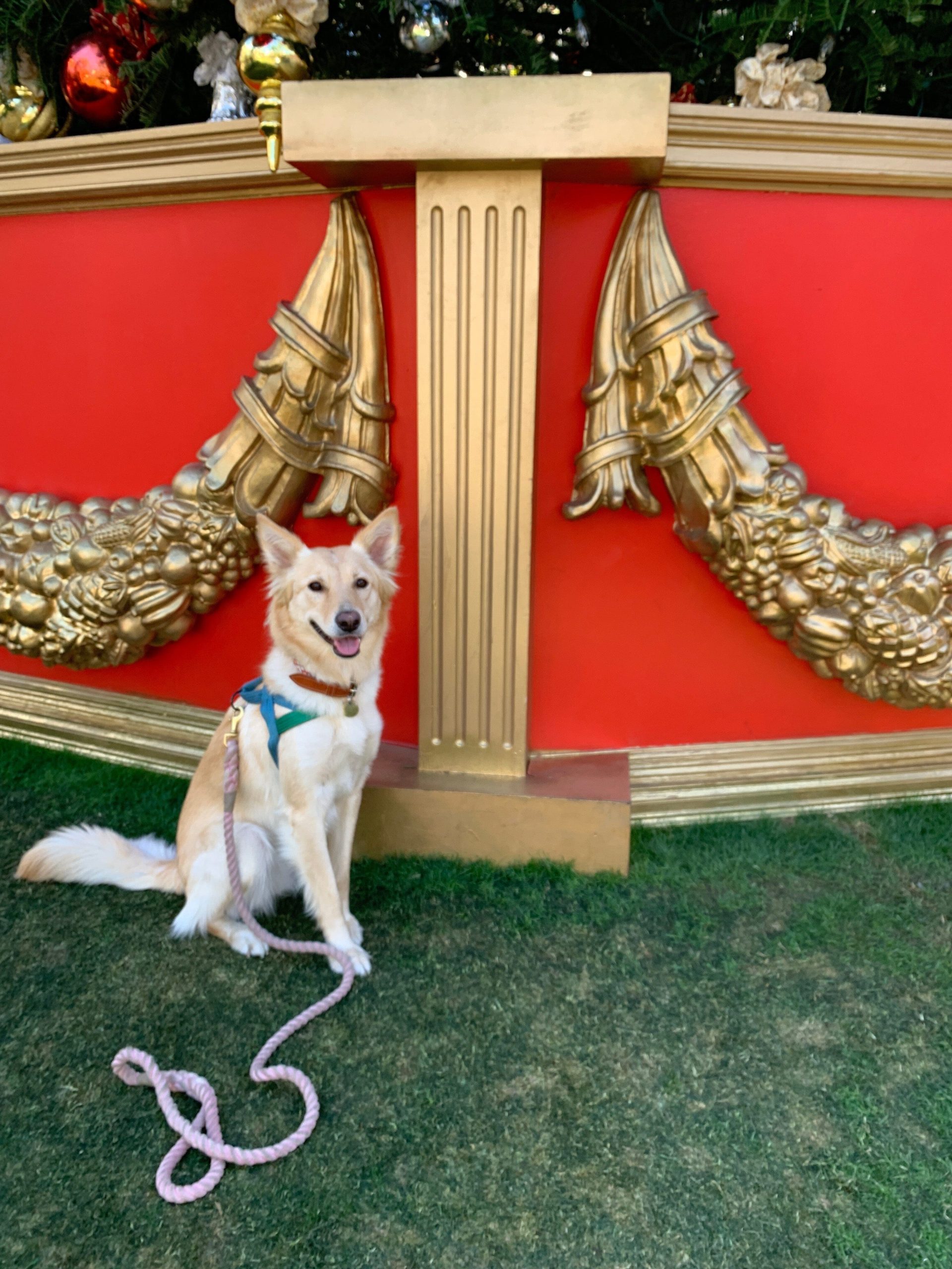 CUSTOM MINI SHIRLEY LEATHER BAG | TAN - Image 7